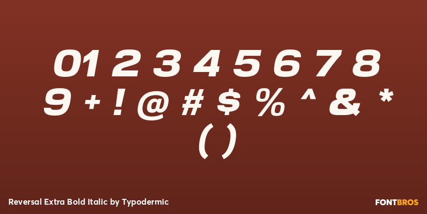 Reversal Extra Bold Italic Font Poster #4