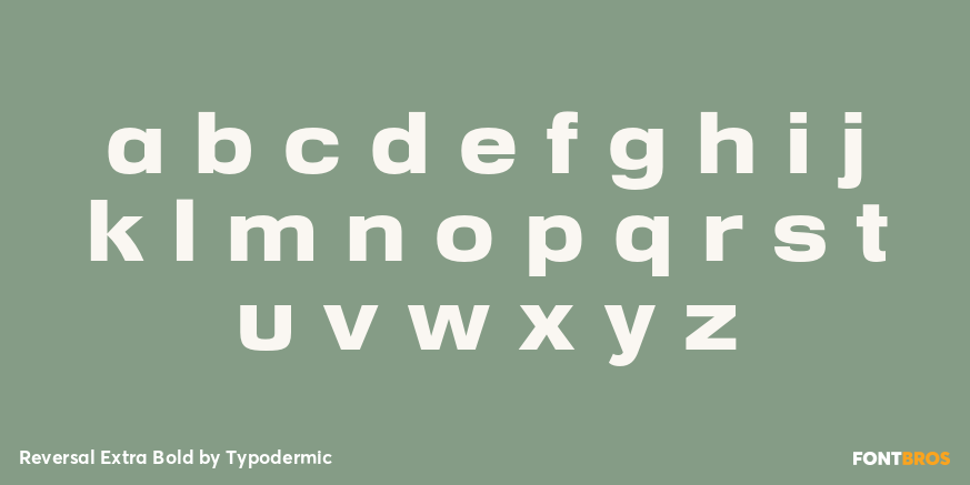 Reversal Extra Bold Font Poster #3
