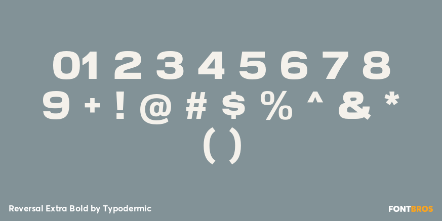 Reversal Extra Bold Font Poster #4