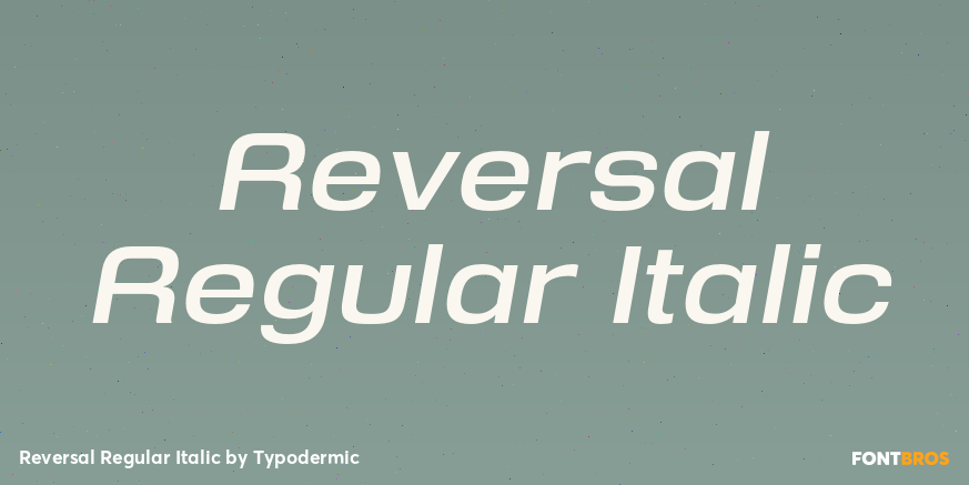Reversal Regular Italic Font Poster #1