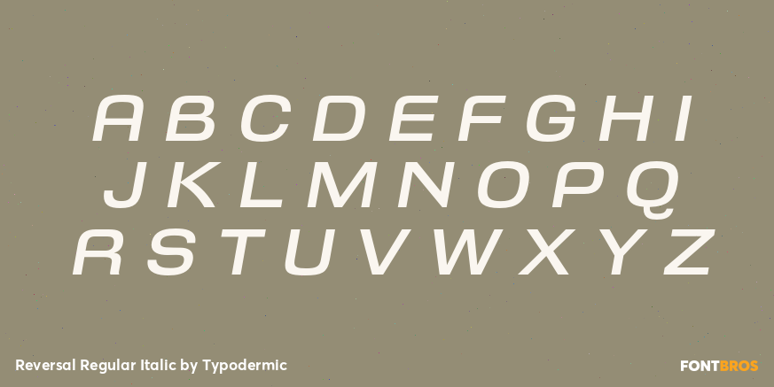 Reversal Regular Italic Font Poster #2
