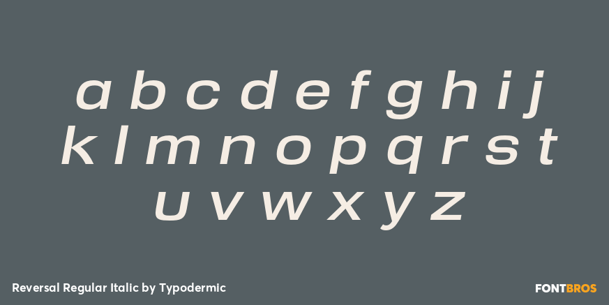 Reversal Regular Italic Font Poster #3