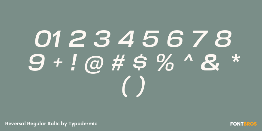 Reversal Regular Italic Font Poster #4