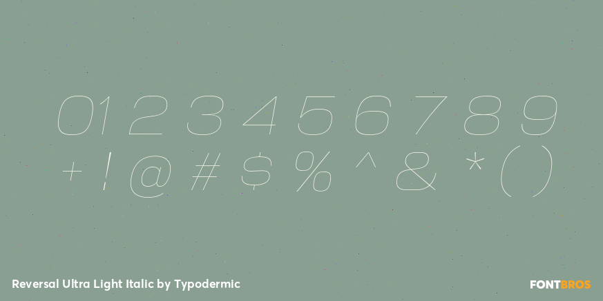 Reversal Ultra Light Italic Font Poster #4