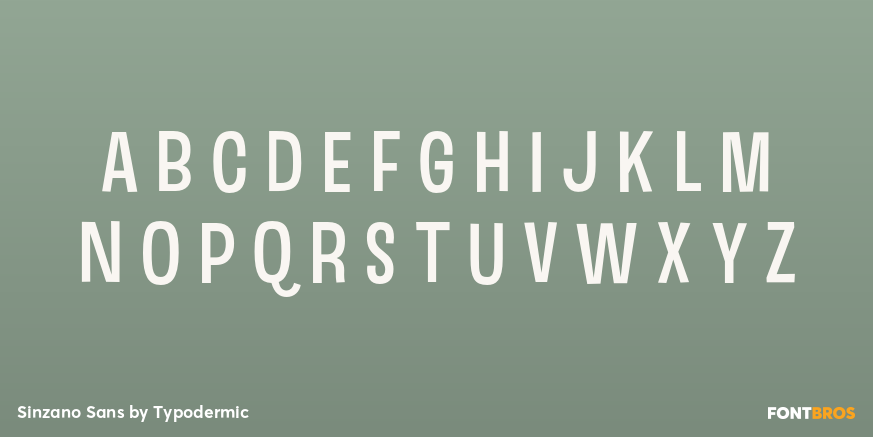 Sinzano Sans Font Poster #3