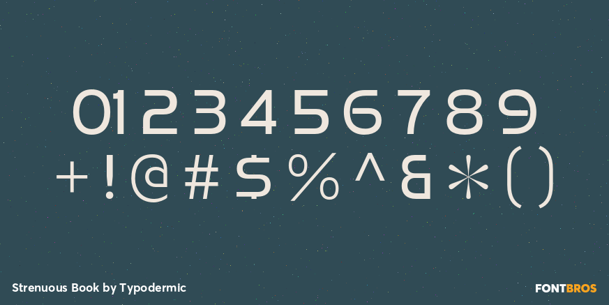 Strenuous Book Font Poster #4