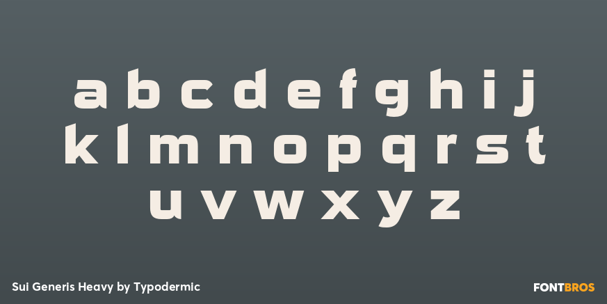 Sui Generis Heavy Font Poster #3