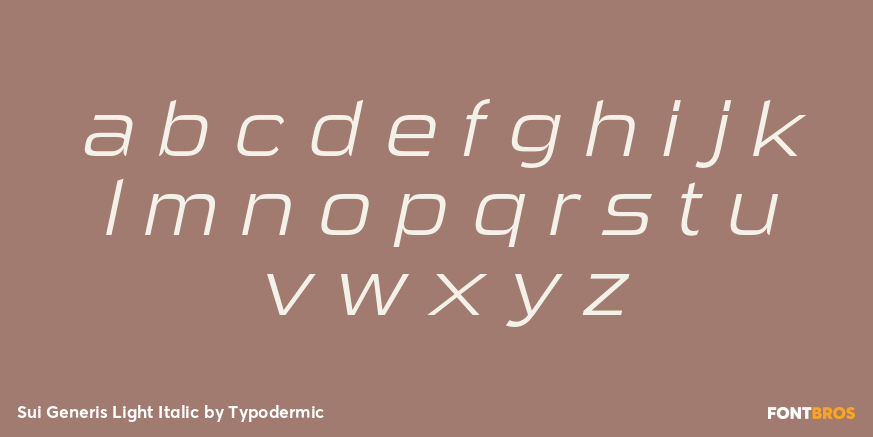 Sui Generis Light Italic Font Poster #3