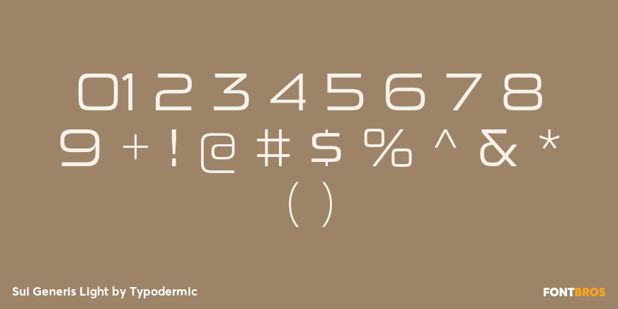 Sui Generis Light Font Poster #4