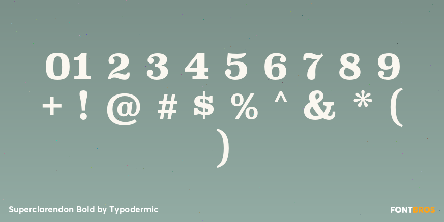 Superclarendon Bold Font Poster #1