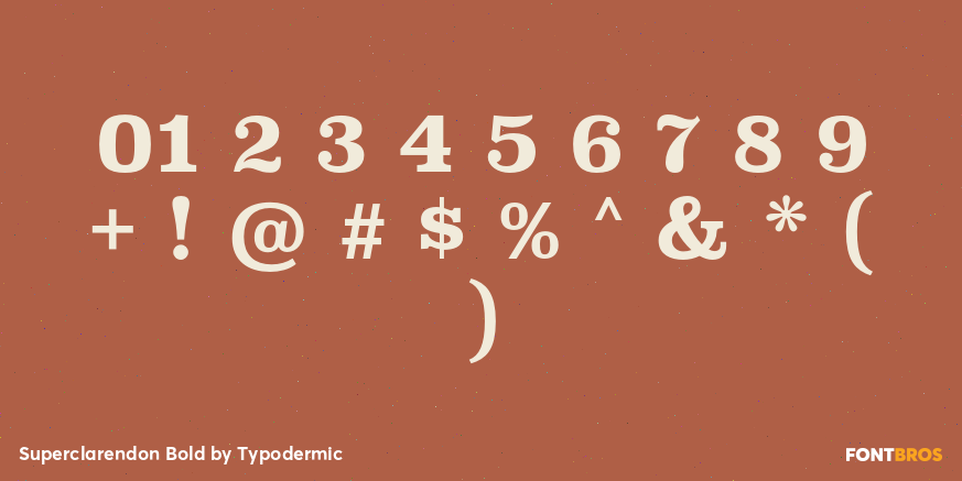 Superclarendon Bold Font Poster #4