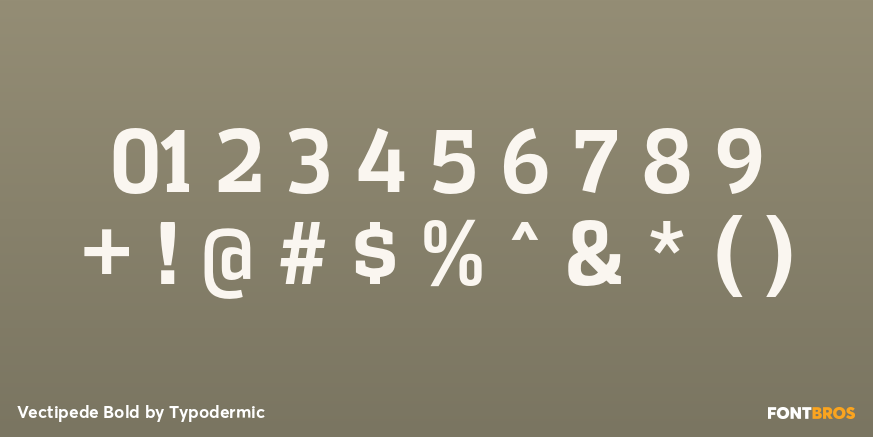 Vectipede Bold Font Poster #4
