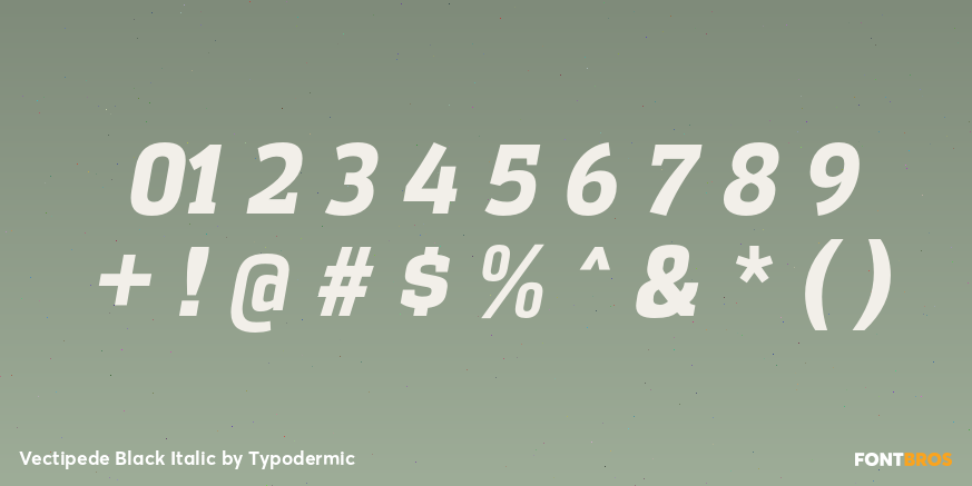 Vectipede Black Italic Font Poster #4