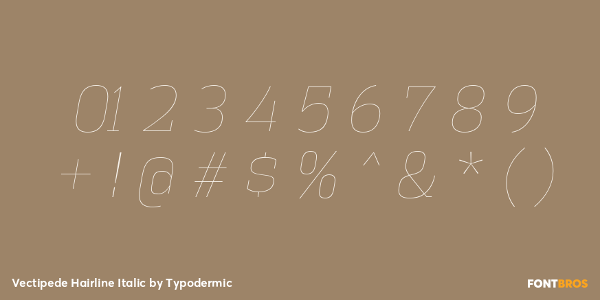 Vectipede Hairline Italic Font Poster #4