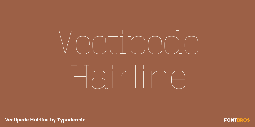 Vectipede Hairline Font Poster #1