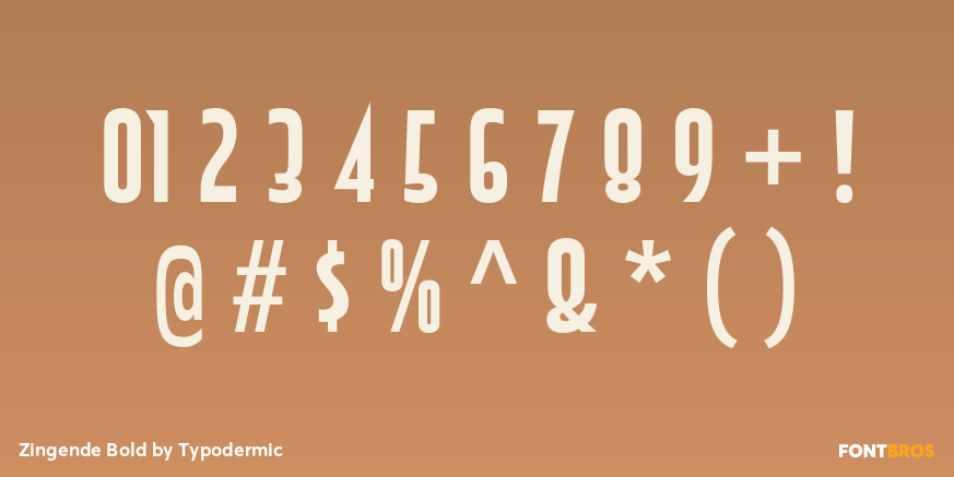 Zingende Bold Font Poster #1