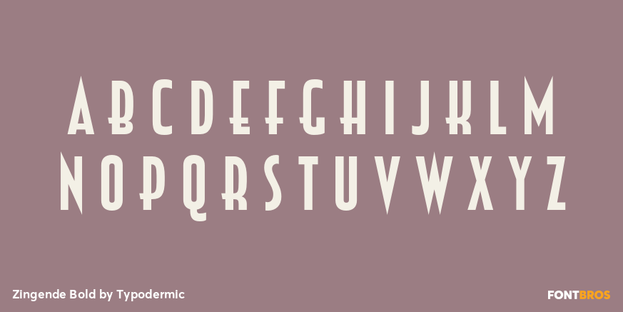 Zingende Bold Font Poster #1