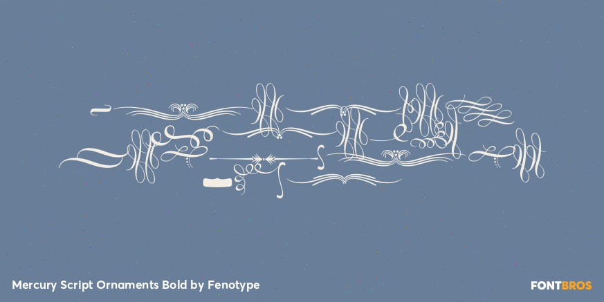 Mercury Script Ornaments Bold Font Poster #1