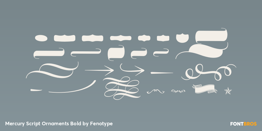 Mercury Script Ornaments Bold Font Poster #2