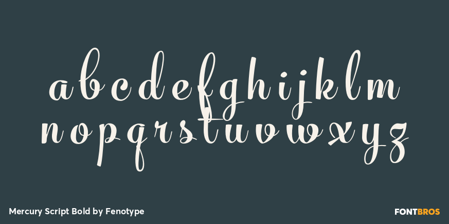 Mercury Script Bold Font Poster #1