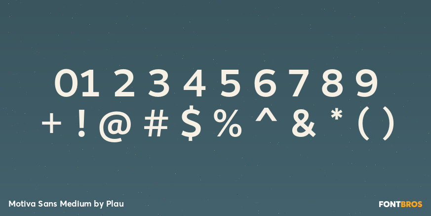 Motiva Sans Medium Font Poster #4