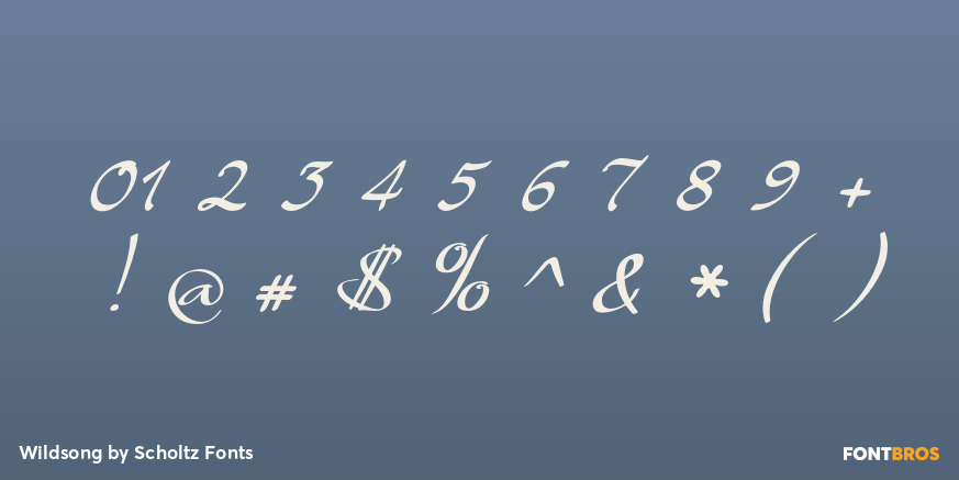 Wildsong Font Poster #4