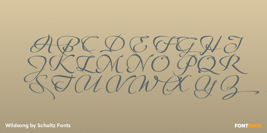 Wildsong Font Poster #2