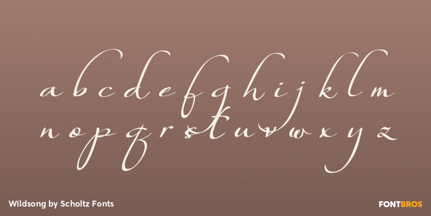 Wildsong Font Poster #3