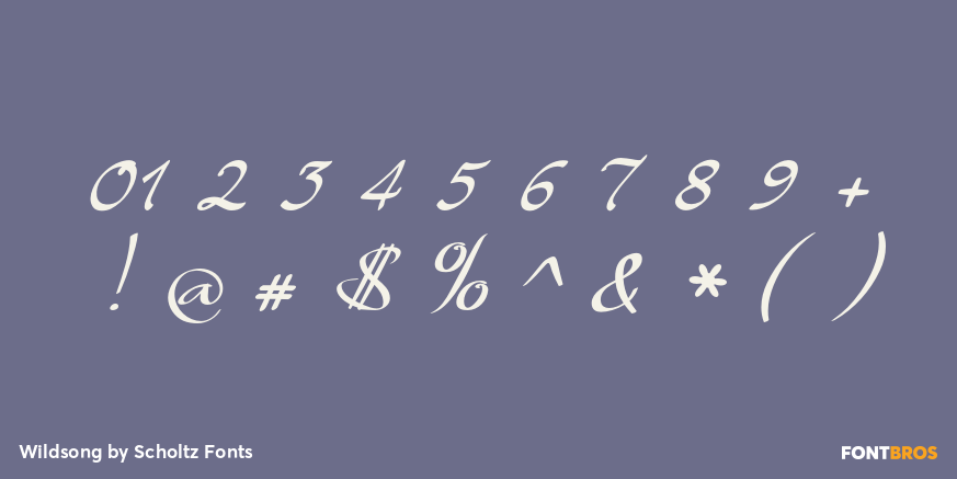 Wildsong Font Poster #4