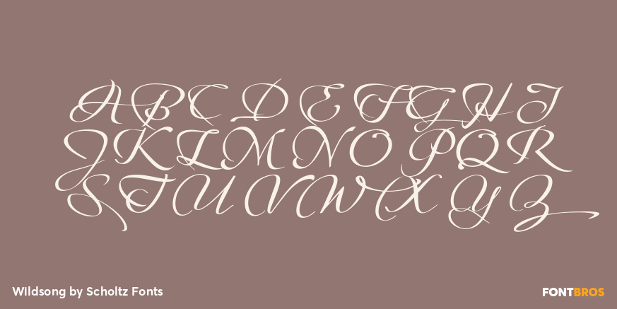 Wildsong Font Poster #2