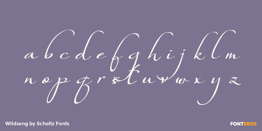 Wildsong Font Poster #3