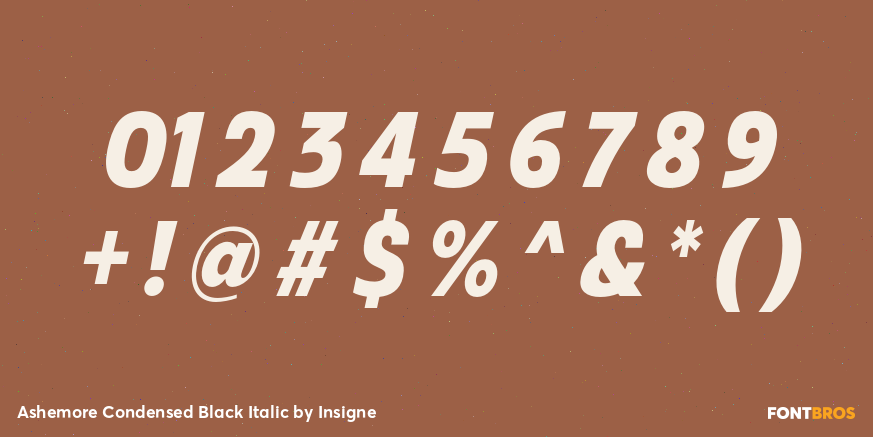 Ashemore Condensed Black Italic Font Poster #4
