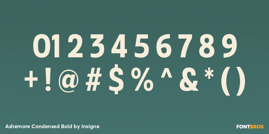 Ashemore Condensed Bold Font Poster #4