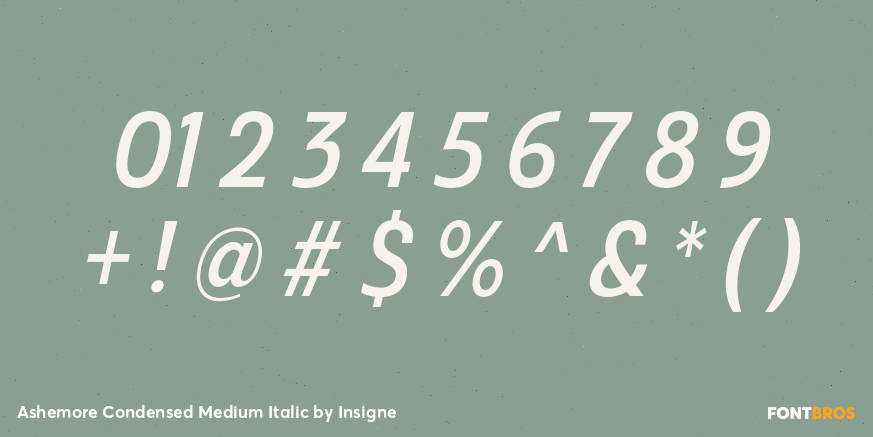 Ashemore Condensed Medium Italic Font Poster #1