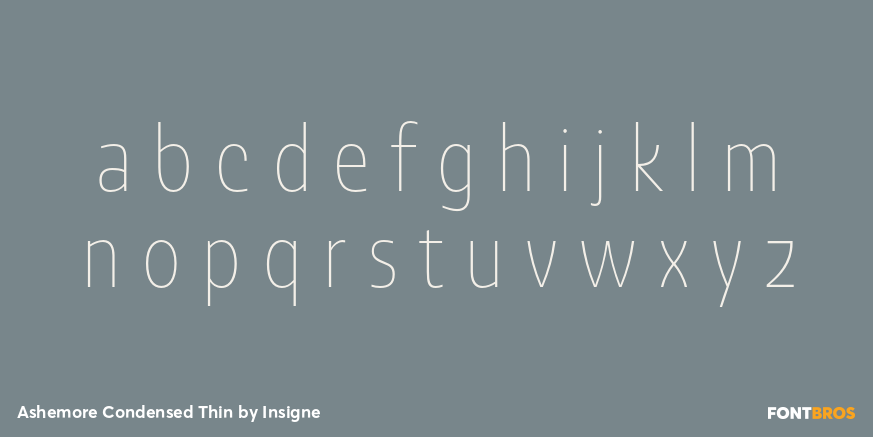 Ashemore Condensed Thin Font Poster #3