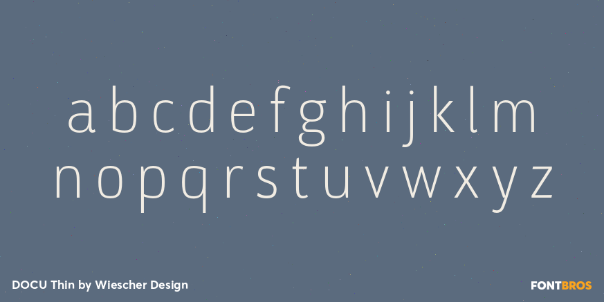 DOCU Thin Font Poster #1