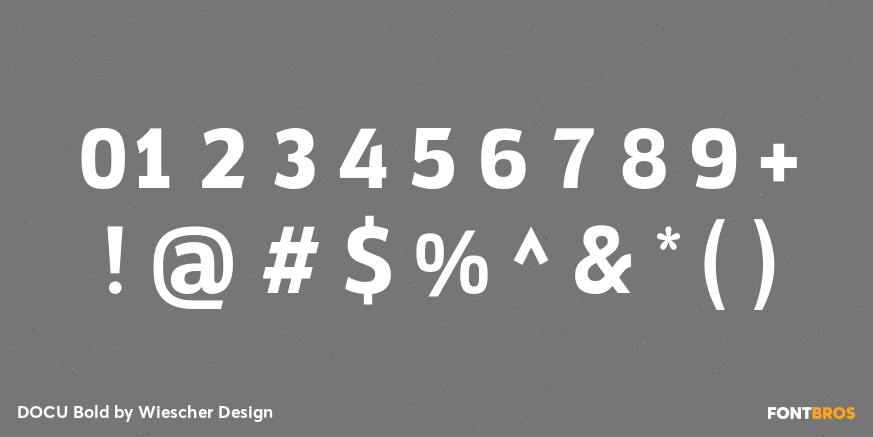 DOCU Bold Font Poster #1