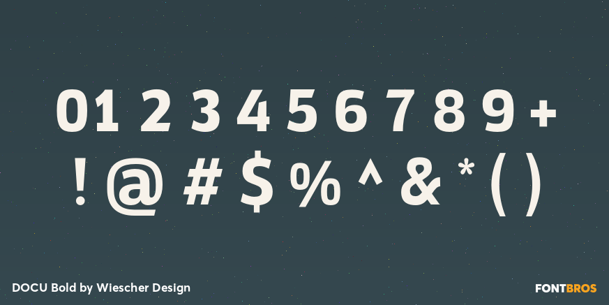 DOCU Bold Font Poster #4