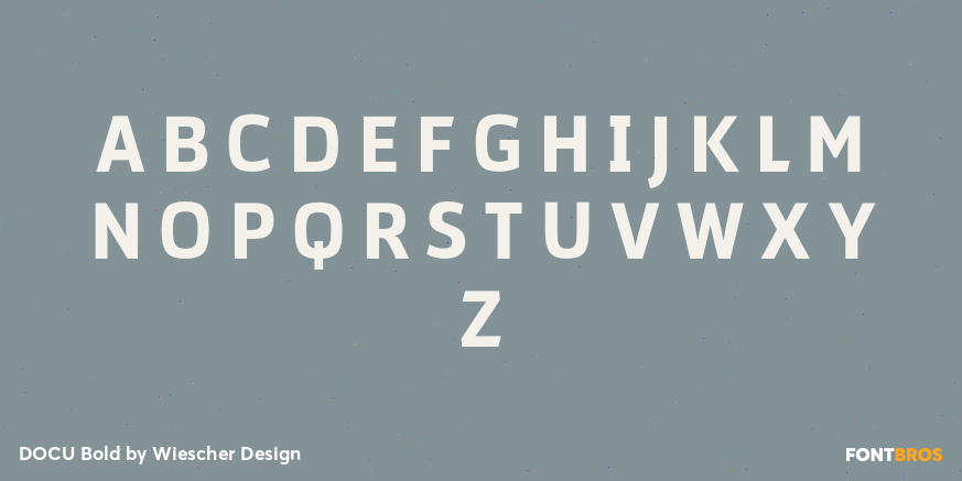 DOCU Bold Font Poster #1