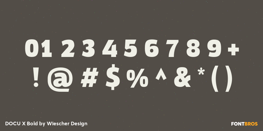 DOCU X Bold Font Poster #1