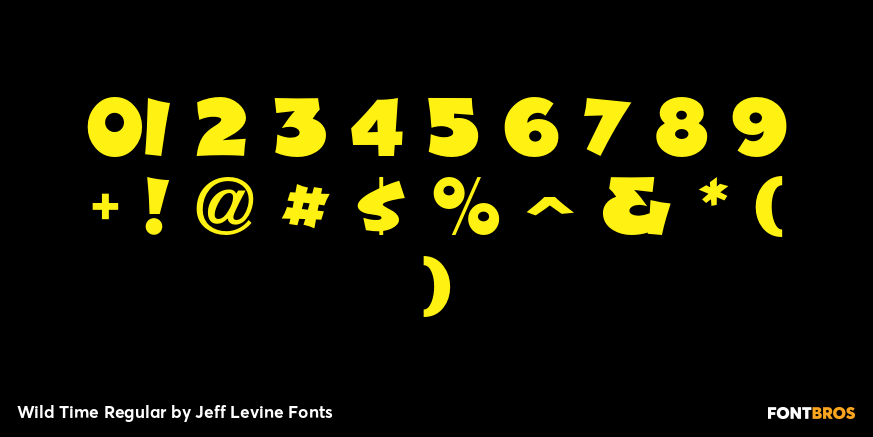Wild Time Regular Font Poster #4