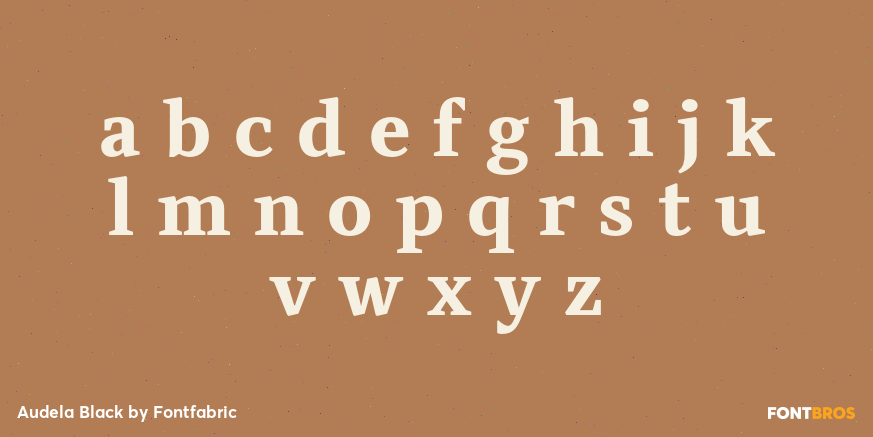 Audela Black Font Poster #3