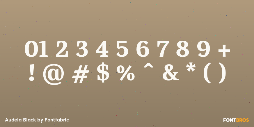 Audela Black Font Poster #4