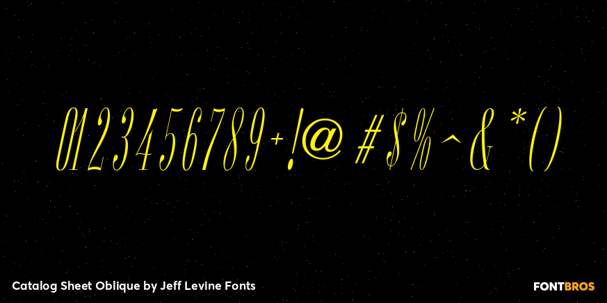 Catalog Sheet Oblique Font Poster #4