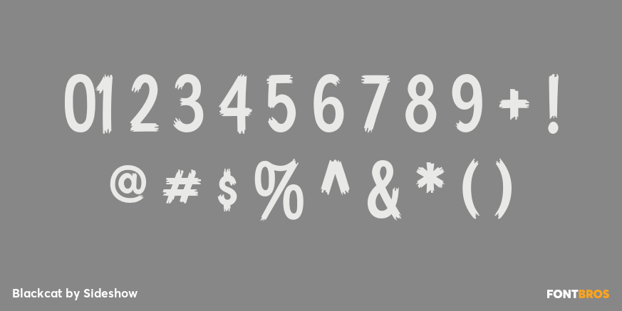 Blackcat Font Poster #4