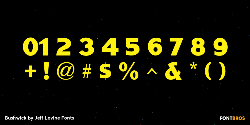 Bushwick Font Poster #4