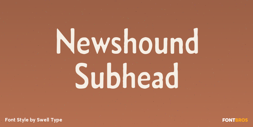 Newshound Subhead Poster
