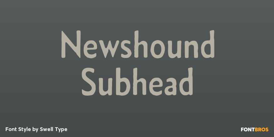 Newshound Subhead Poster