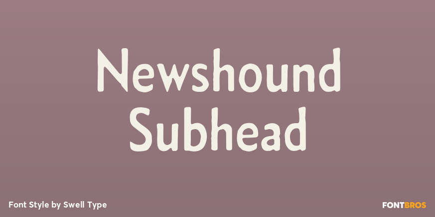 Newshound Subhead Poster