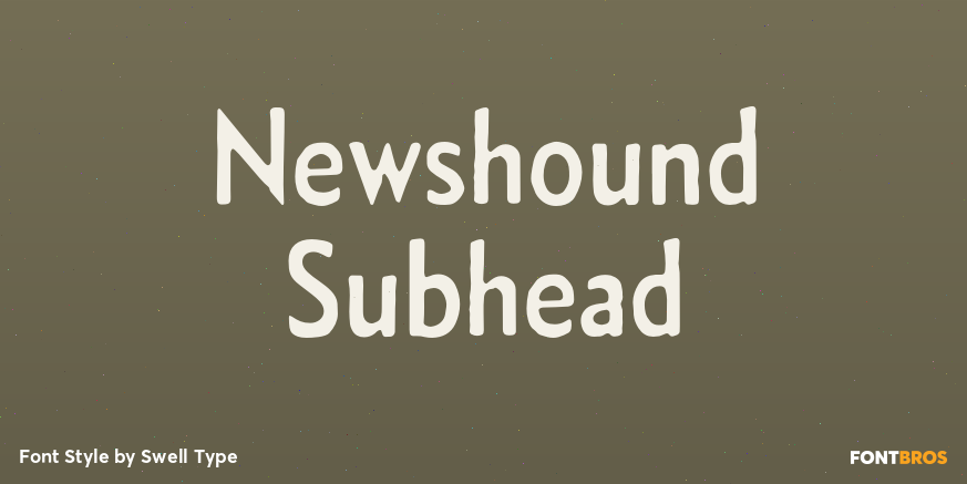 Newshound Subhead Poster